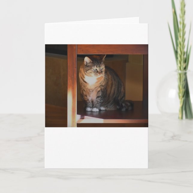 Langsame Tage, Karte (Vorderseite)