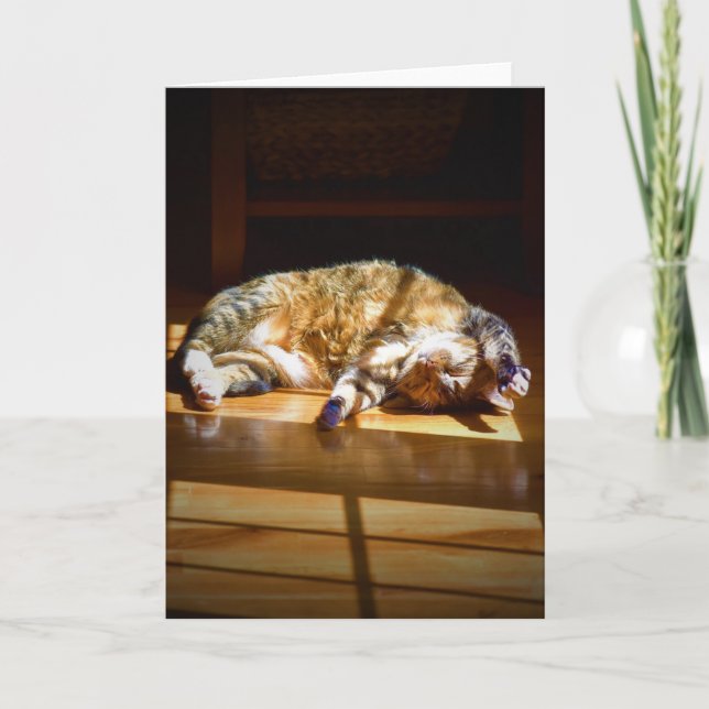 Langsame Tage, Karte (Vorderseite)