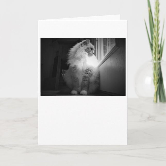 Langsame Tage, Karte (Vorderseite)