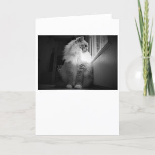 Langsame Tage, Karte