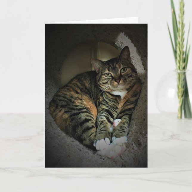 Langsame Tage, Karte (Vorderseite)