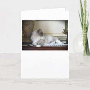 Langsame Tage, Karte