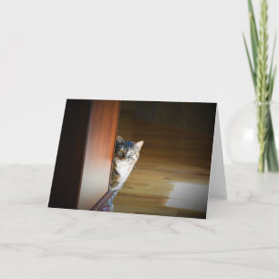 Langsame Tage, Karte