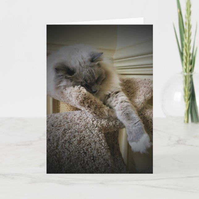 Langsame Tage, Karte (Vorderseite)