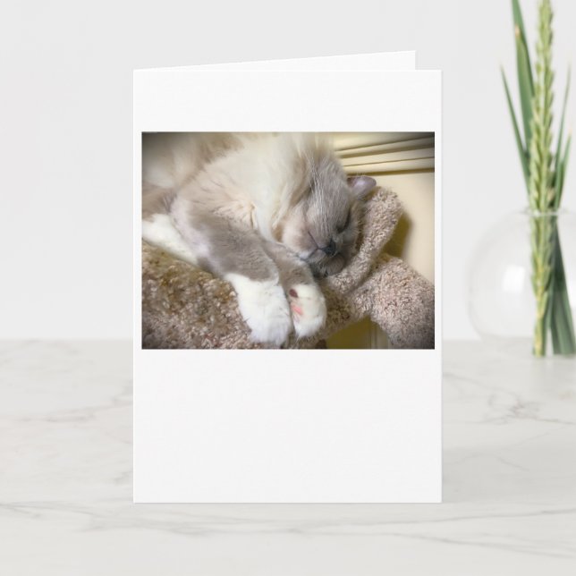 Langsame Tage, Karte (Vorderseite)