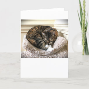 Langsame Tage, Karte