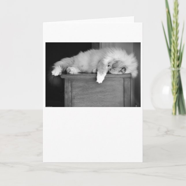 Langsame Tage, Karte (Vorderseite)