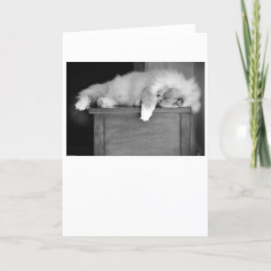 Langsame Tage, Karte