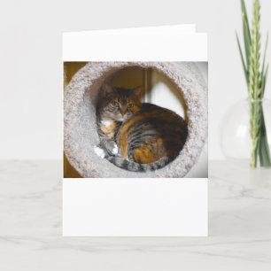 Langsame Tage, Karte