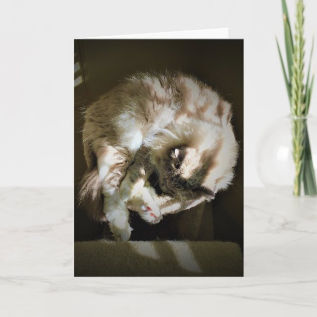 Langsame Tage, Karte (Vorderseite)