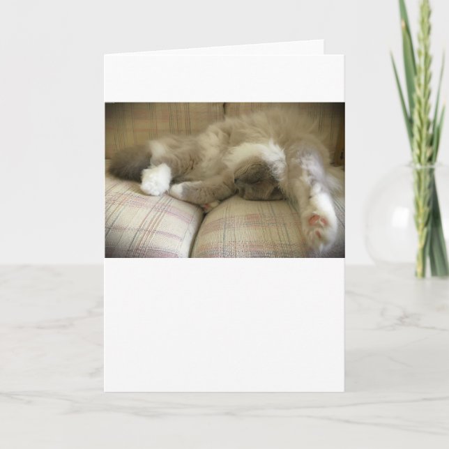 Langsame Tage, Karte (Vorderseite)