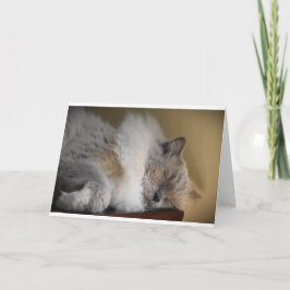 Langsame Tage, Karte