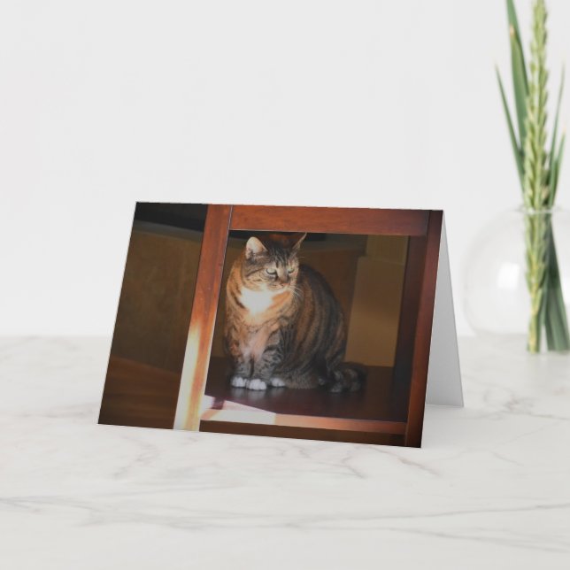 Langsame Tage, Karte (Vorderseite)