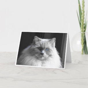 Langsame Tage, Karte