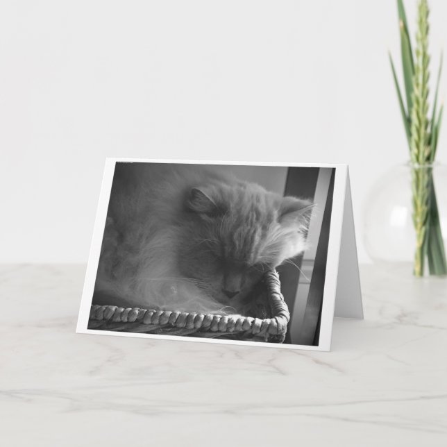 Langsame Tage, Karte (Vorderseite)