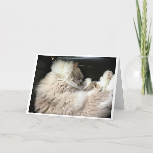 Langsame Tage, Karte (Vorderseite)