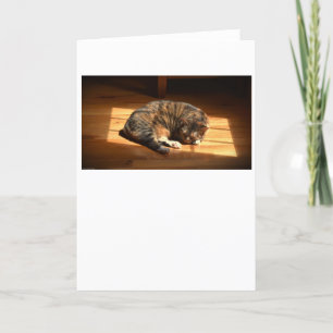 Langsame Tage, Karte