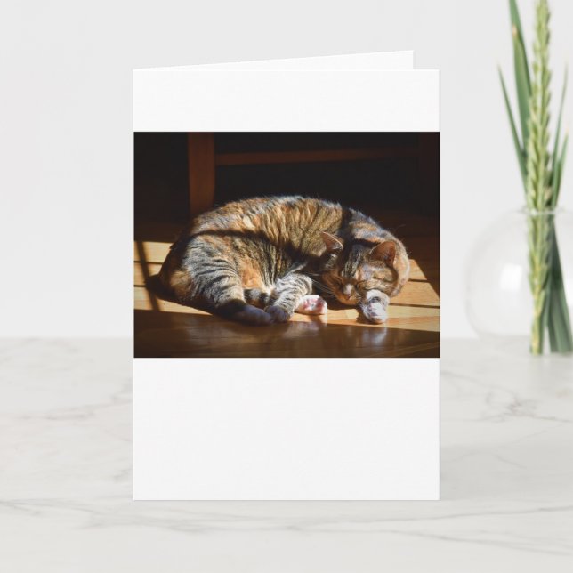 Langsame Tage, Karte (Vorderseite)