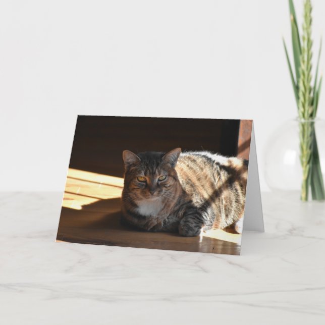 Langsame Tage, Karte (Vorderseite)