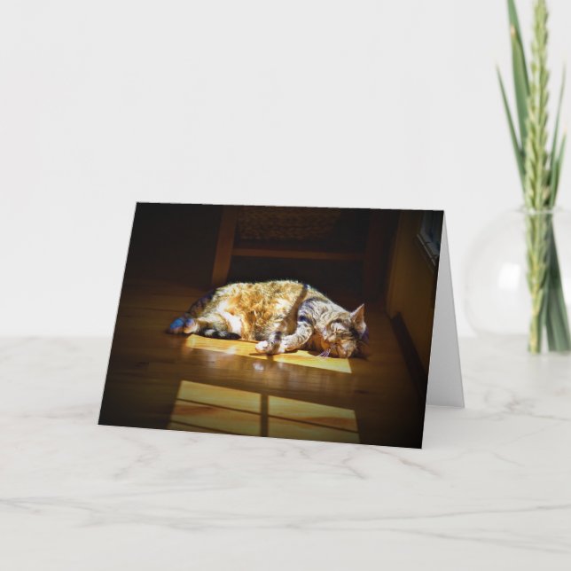 Langsame Tage, Karte (Vorderseite)