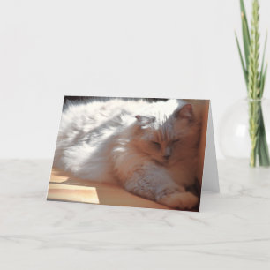 Langsame Tage, Karte