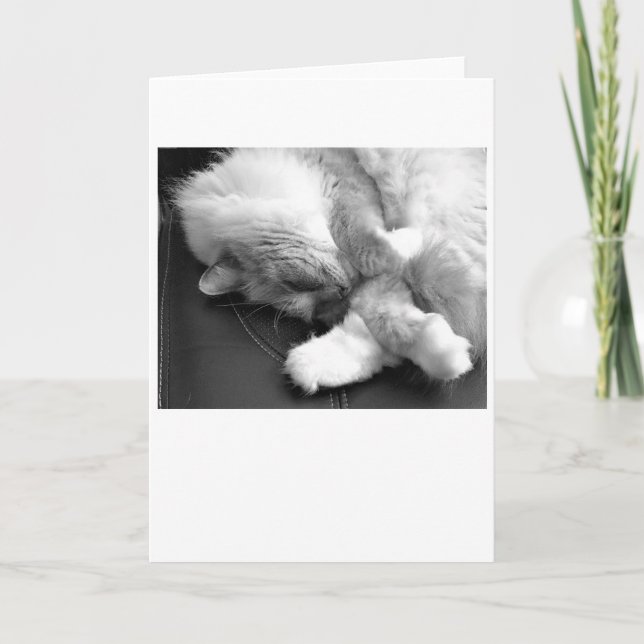 Langsame Tage, Karte (Vorderseite)