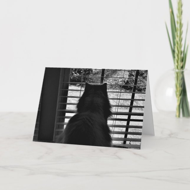 Langsame Tage, Karte (Vorderseite)