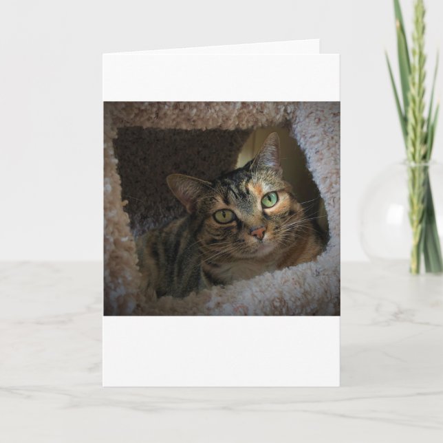 Langsame Tage, Karte (Vorderseite)