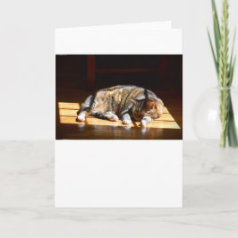 Langsame Tage, Karte