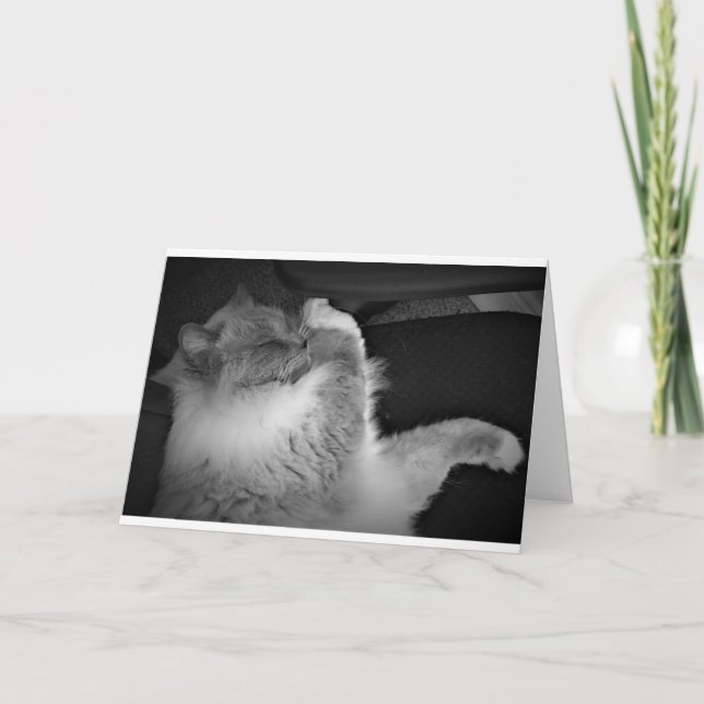 Langsame Tage, Karte (Vorderseite)