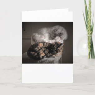 Langsame Tage, Karte