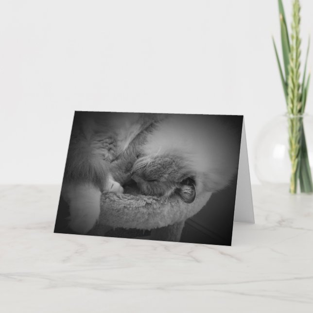 Langsame Tage, Karte (Vorderseite)