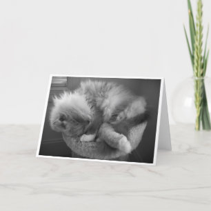 Langsame Tage, Karte