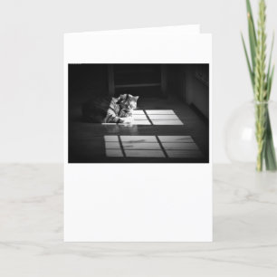 Langsame Tage, Karte