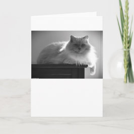 Langsame Tage, Karte