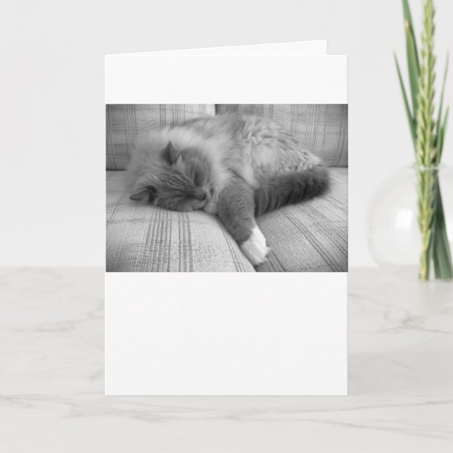 Langsame Tage, Karte (Vorderseite)