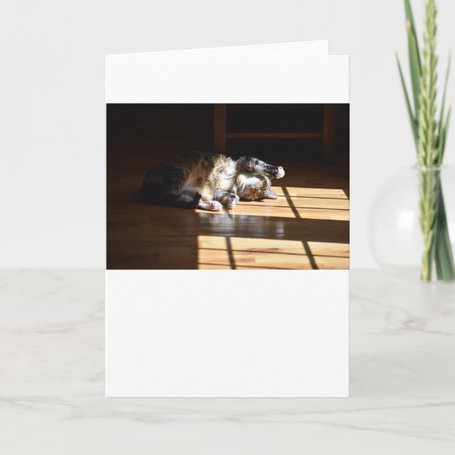 Langsame Tage, Karte (Vorderseite)