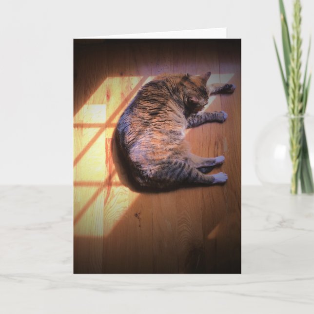 Langsame Tage, Karte (Vorderseite)