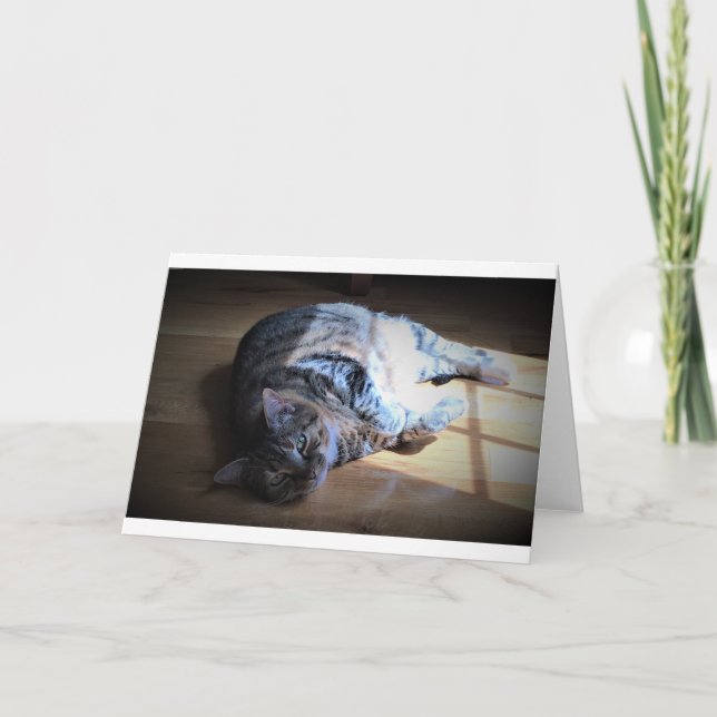 Langsame Tage, Karte (Vorderseite)