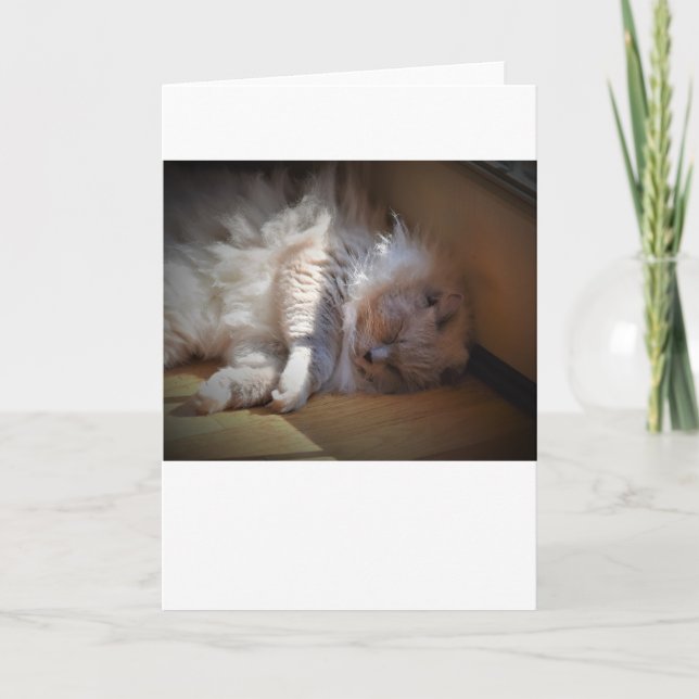 Langsame Tage, Karte (Vorderseite)