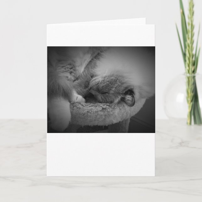 Langsame Tage, Karte (Vorderseite)