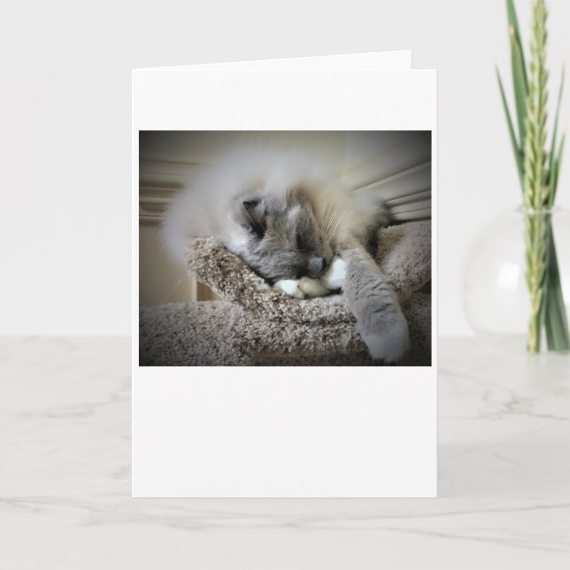 Langsame Tage, Karte (Vorderseite)