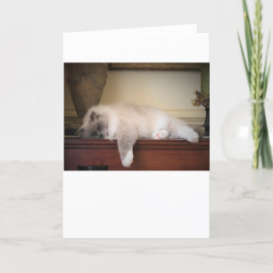 Langsame Tage, Karte