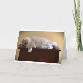 Langsame Tage, Karte