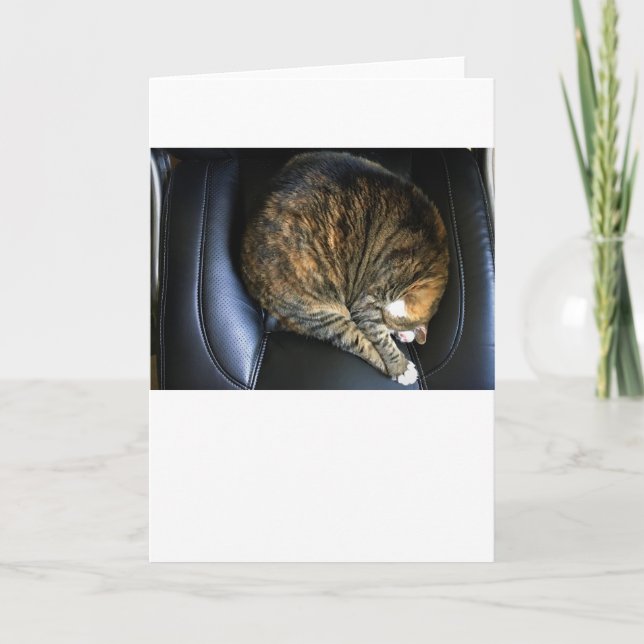 Langsame Tage, Karte (Vorderseite)