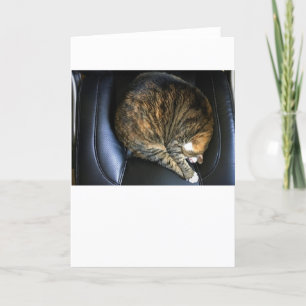 Langsame Tage, Karte