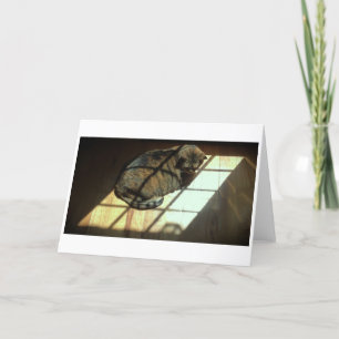 Langsame Tage, Karte