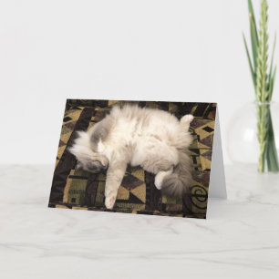 Langsame Tage, Karte