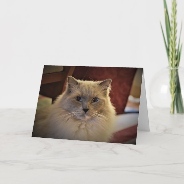 Langsame Tage, Karte (Vorderseite)