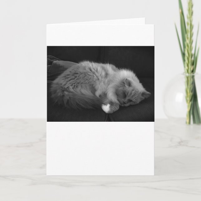 Langsame Tage, Karte (Vorderseite)